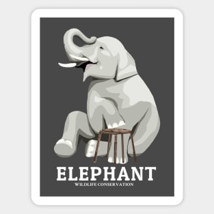 Elephant Magnet